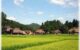 【不思議な話】山奥の家に住んでいた小学生の頃、和服を着た見慣れない女の子が橋の上に立っていた。家に帰り祖母にその事を話したら鬼のような形相をして「絶対に話しかけてはいけない」と言われた。次の日神社に行ったら昨日の女の子がいて…