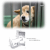 【ある犬のおはなし】 ～殺処分ゼロを願って～
